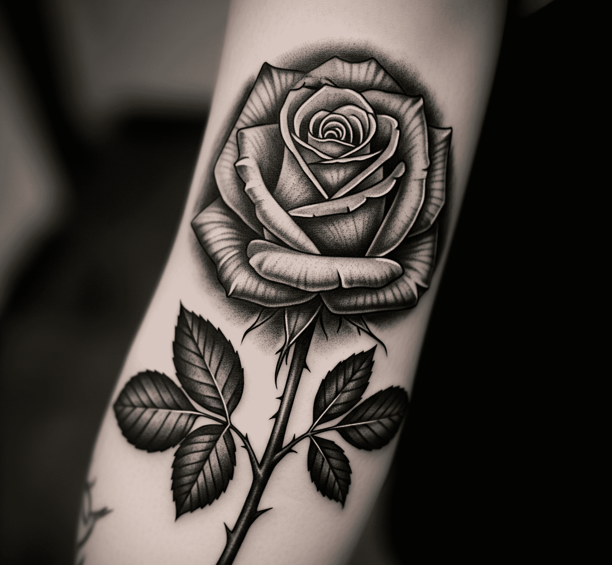 rose tattoo