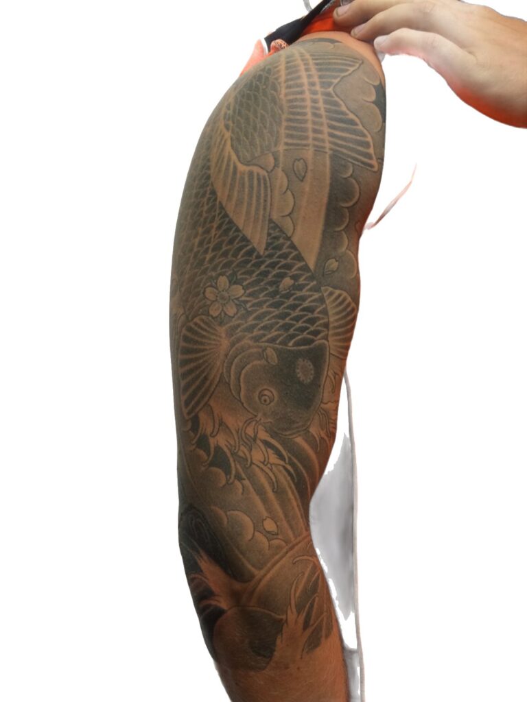 Japanese Koi Full Sleeve tattoo, Perth Western Australia